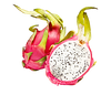Pitahaya