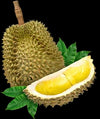 Durian