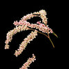 Polygonum