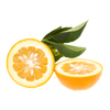 Bigarade
