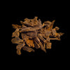 Laotian Oud