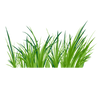 Green Notes