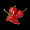 Pimento