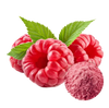 raspberry