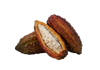 Cacao