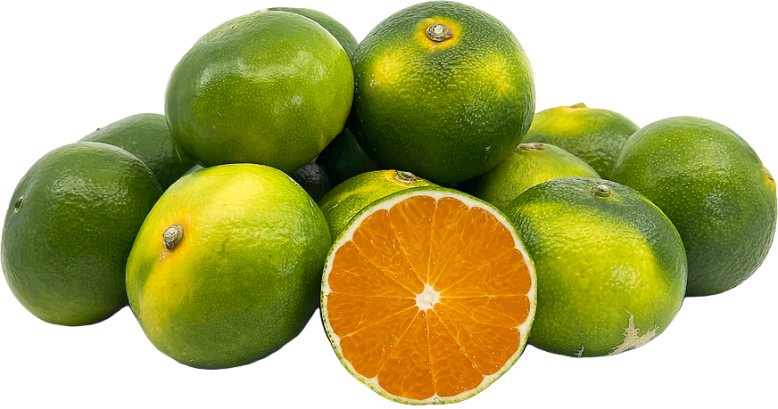 Green Mandarin