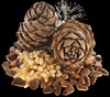 Pine