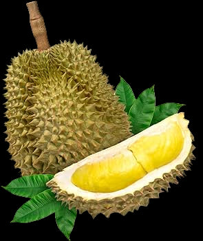 Durian 