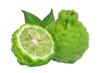 Bergamot