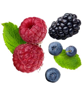 Wild Berries 