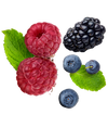 Wild Berries 