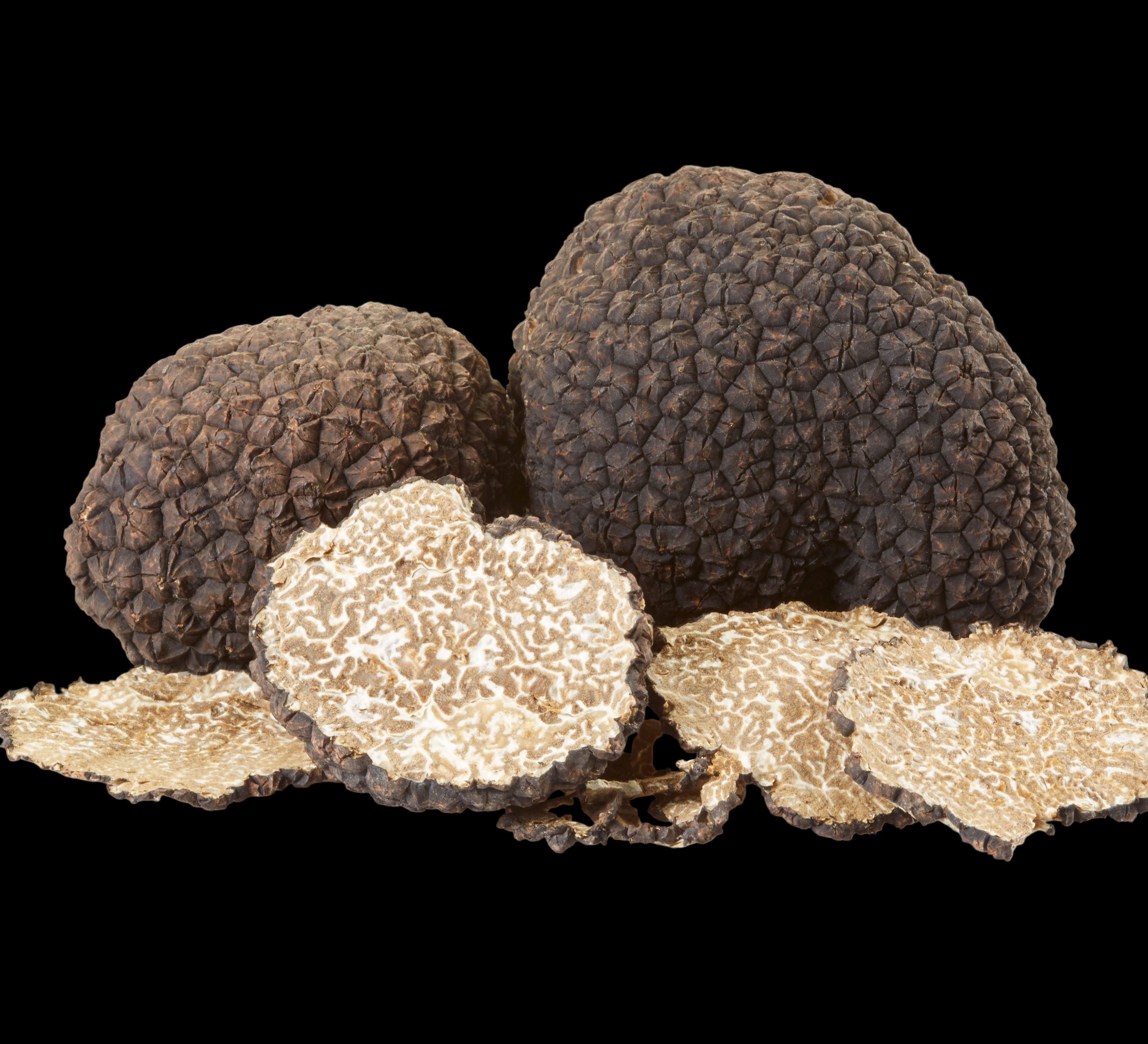 Truffle 