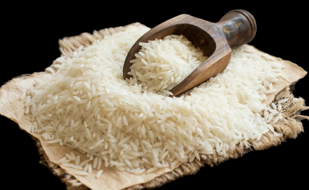 Rice 