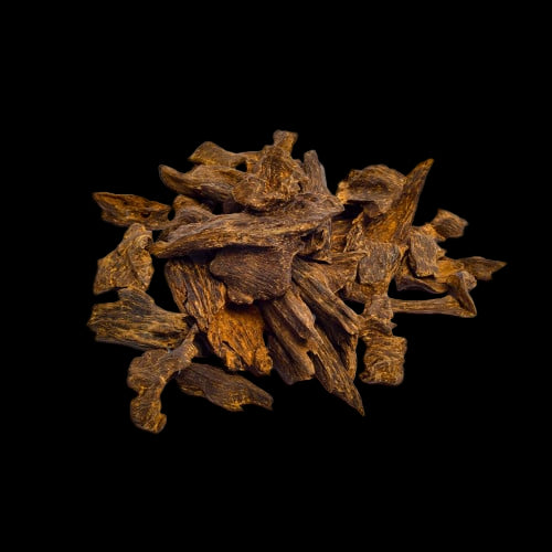 Laotian Oud