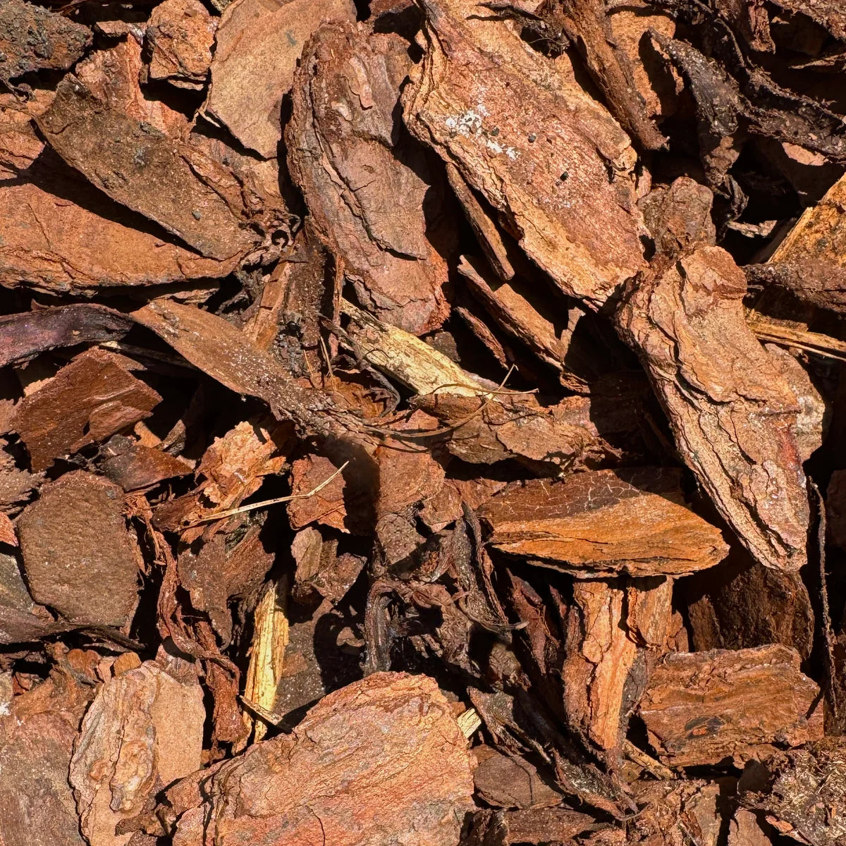 Bark