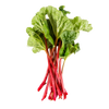 Rhubarb