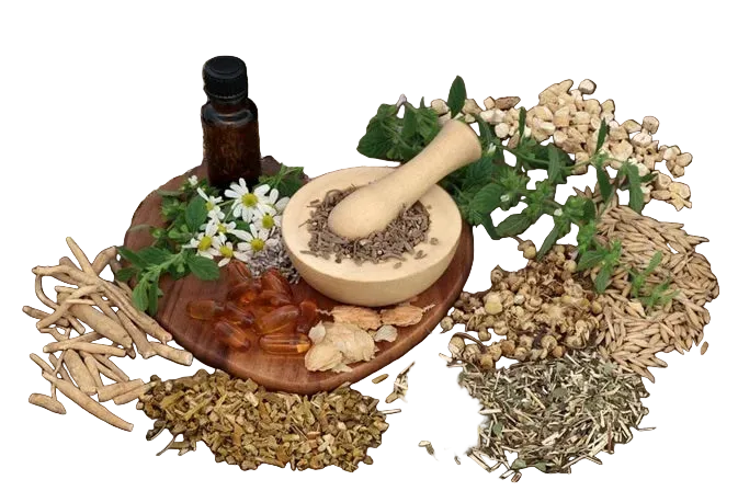herbal 