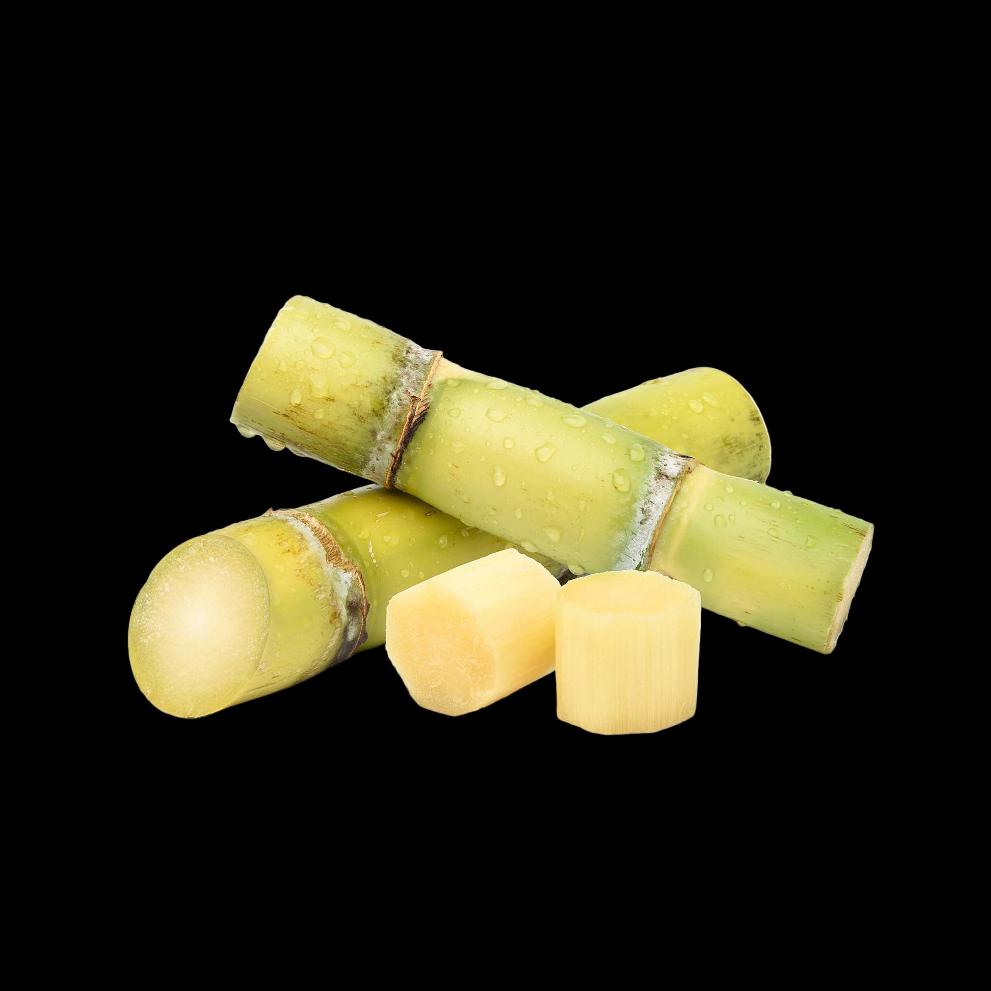 Sugar Cane