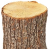 Oak Tree