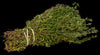 oregano